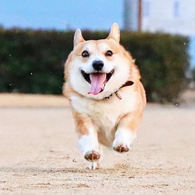 一年级歇后语有哪些，一年级歇后语有哪些（歇后语分享，你还知道哪些）