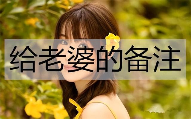 对老婆的称呼昵称大全，称呼女朋友的昵称大全（用什么名字能让她满意）