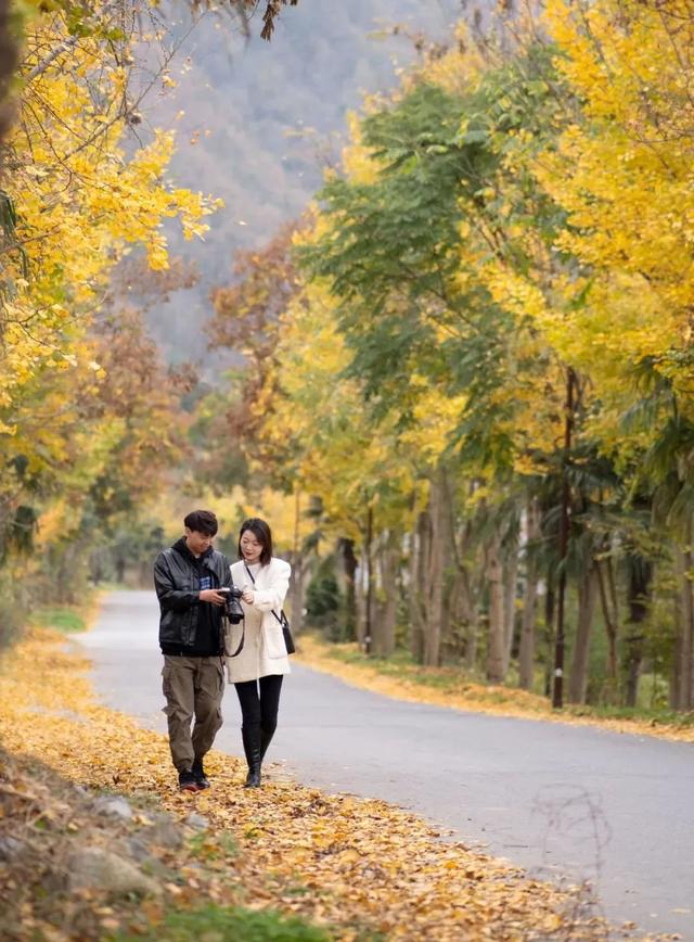 汉中旅游景点排名推荐，汉中旅游景点大全排名榜（在汉中一年四季可以这样玩 →）