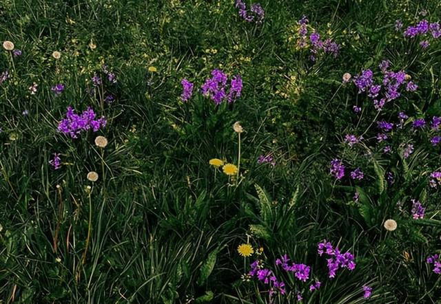 喜欢又不想在一起是什么心理，喜欢但是不想在一起的心理（好像不够爱，却又舍不得分开）