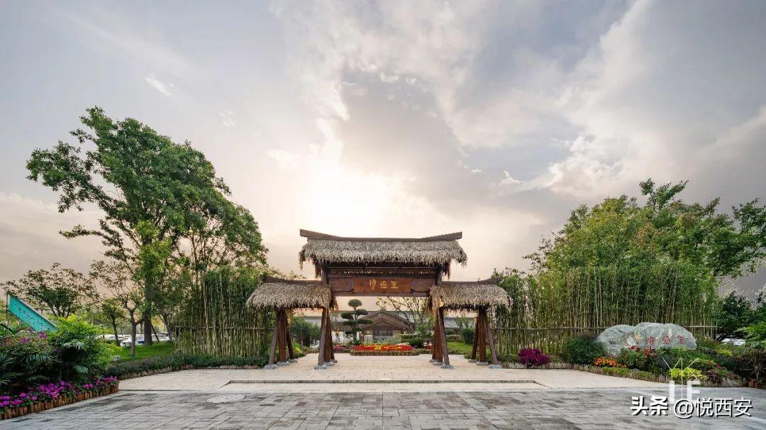 西部地区包括哪些省(广西属于中部地区吗)