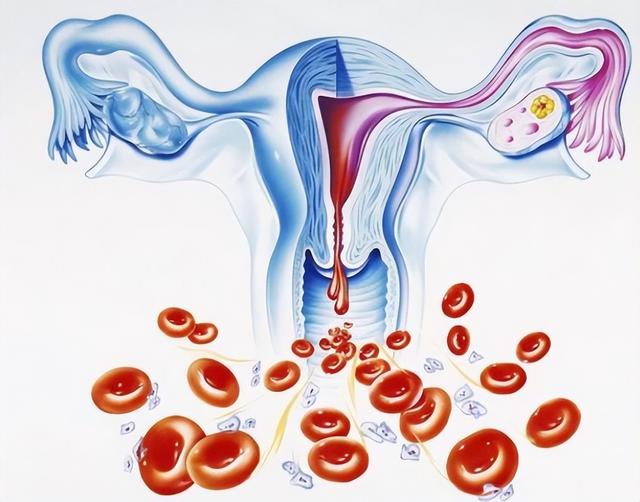 例假期间吃什么，例假期间吃什么补血补气（妇科医生：女性来例假时）
