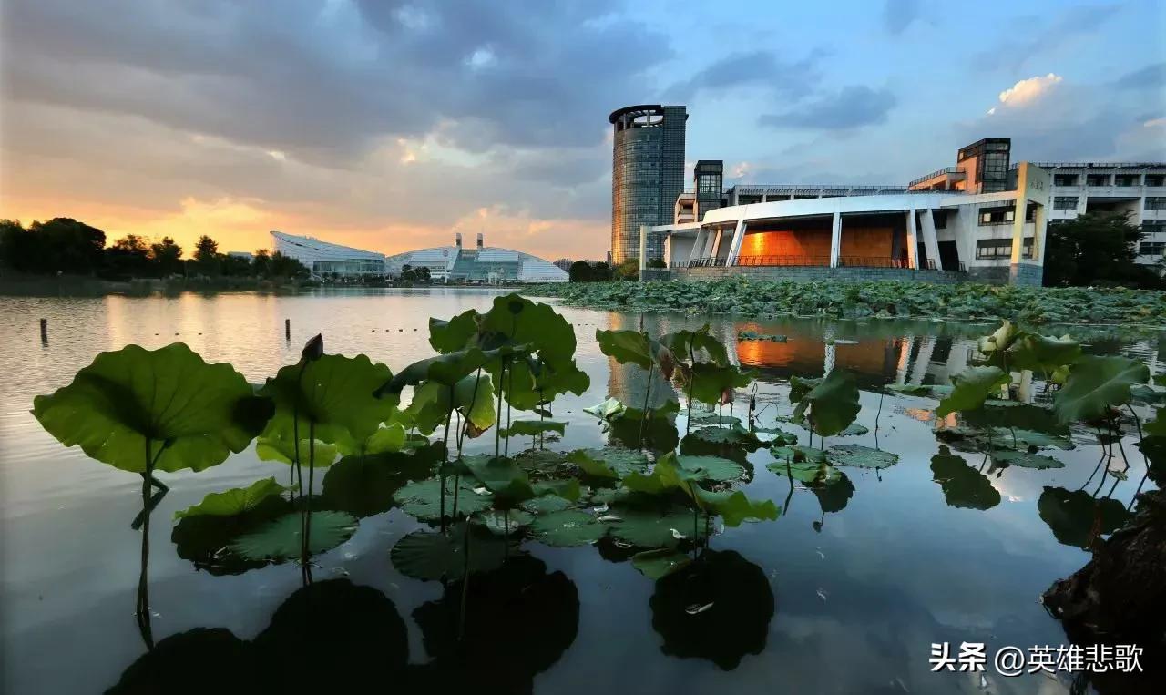 浙江大学怎么样(浙江大学实力并不强)