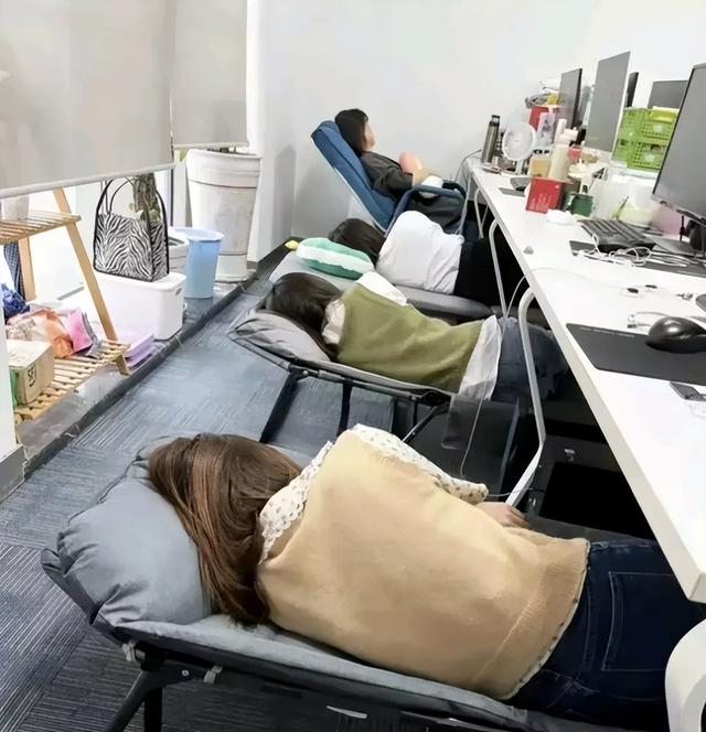 白领一般是什么职业，白领是什么职业（白领午休状态引争议）