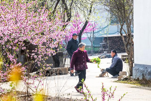 河南红色旅游景点，豫南一条红色旅游线路（河南红色旅游景点排名前十名）
