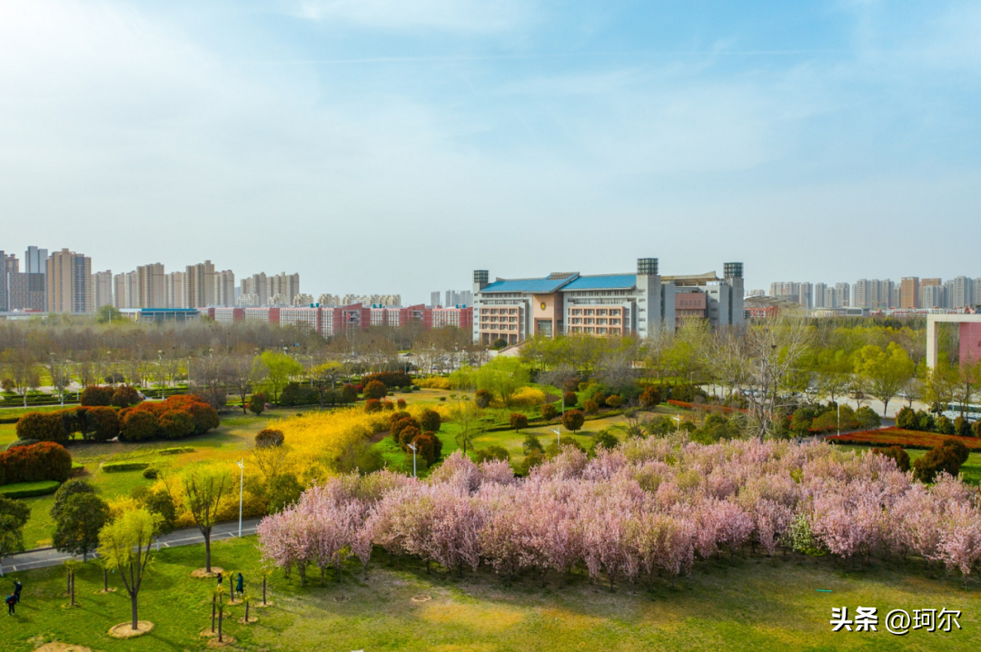 郑州市经开区(郑州市经开区纪检委成员)