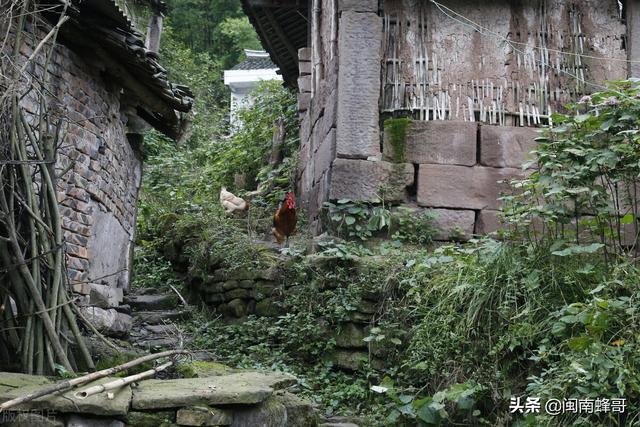 人均可支配收入是什么意思，中国人均可支配收入是什么意思（可支配收入18931元）