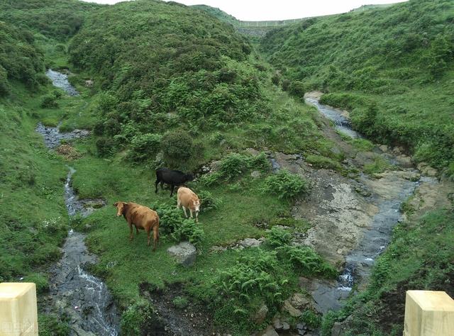 七八月份国内最佳旅游地方，七八月份国内最佳旅游地方溜娃（到这10个最佳旅游胜地）