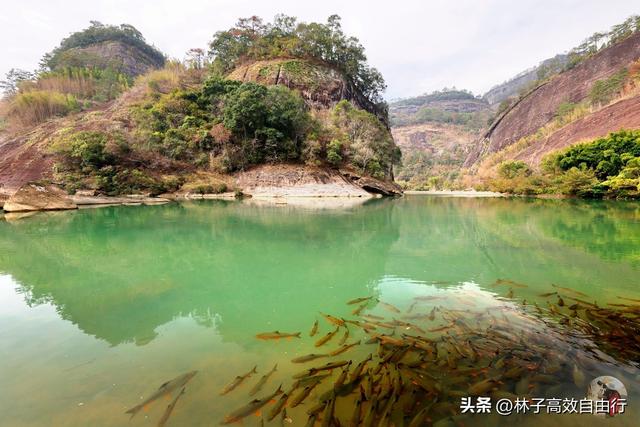 武夷山岩茶是什么茶，武夷山岩茶是什么茶?崇亮传播茶文化（我眼中的武夷山）