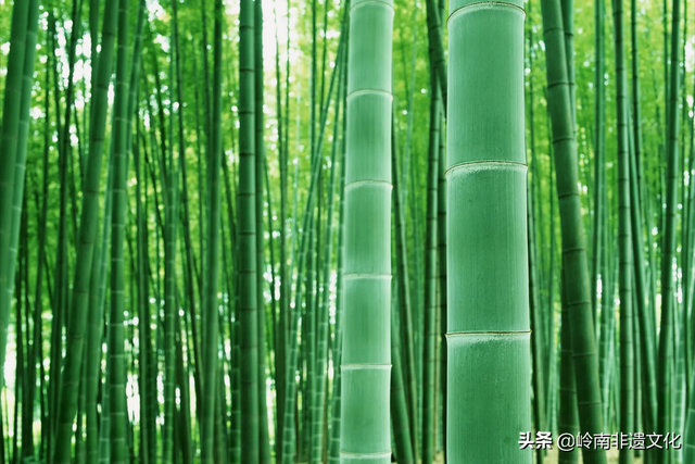 5月13日是什么节日，五月十三日是什么节日（中国传统节日—农历五月十三）