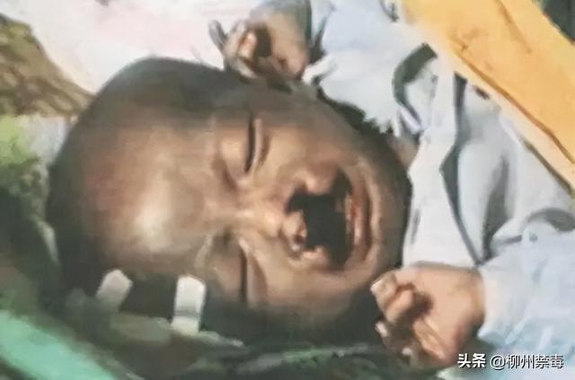 网络对青年人的有害事例，网络对青年人的有害事例素材（毒品让这些母亲走上不归路）