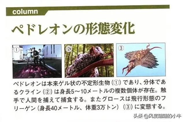 奈克瑟斯默示录，如何训练无意识记忆（奈克赛斯奥特曼怪兽图鉴）