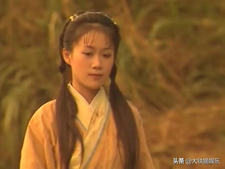 人龙传说演员表，龙的传人演员列表（TVB金庸剧的换角风波）