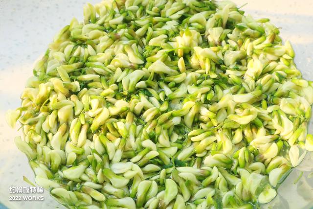 槐花饼怎么做好吃又简单，槐花饼的简易做法（烙饼吃可真香啊）