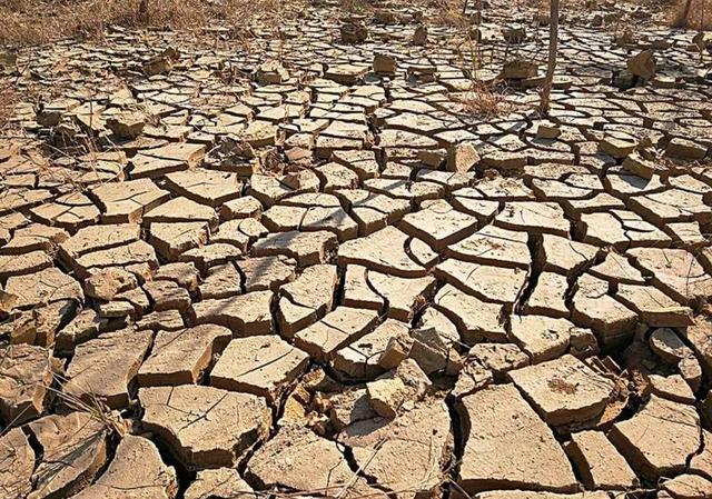 36年属什么生肖，包含64年属什么生肖今年多少岁的词条