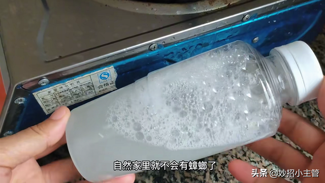 灭蟑螂的方法，灭蟑螂的方法 毒性灭蟑（只用一把大蒜轻松搞定）