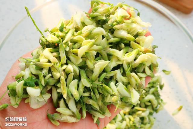 槐花饼怎么做好吃又简单，槐花饼的简易做法（烙饼吃可真香啊）