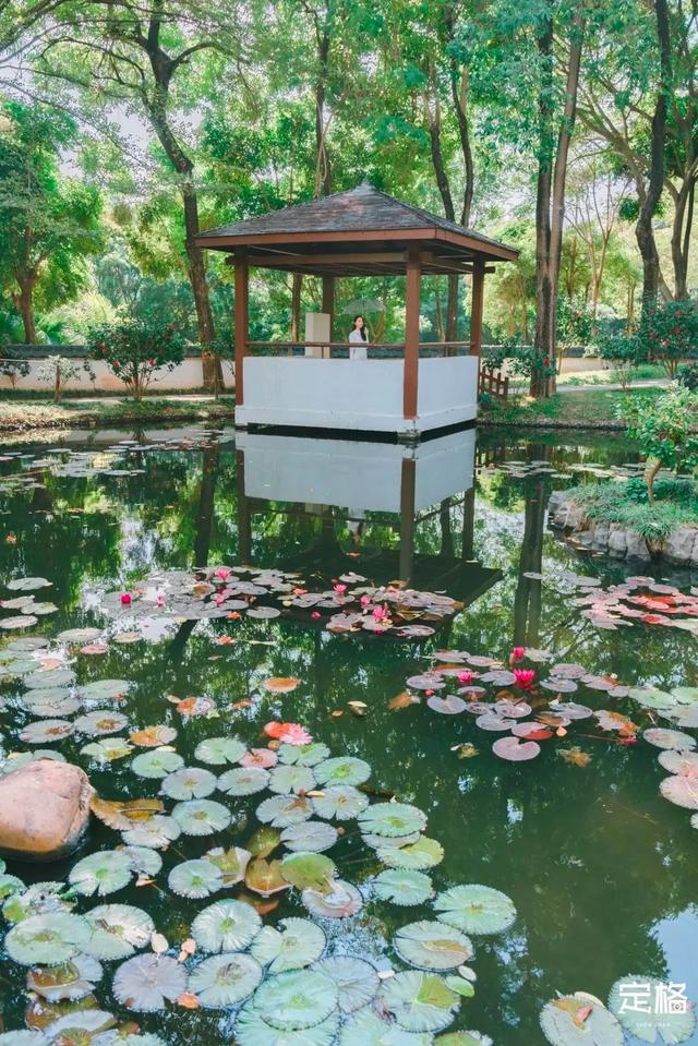 深圳好玩的免费景点，深圳哪里好玩的景点（来深圳这10个地方免费玩）