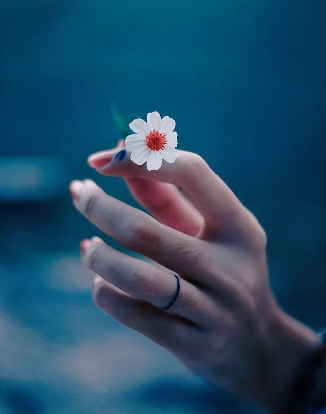 名家散文美句摘抄赏析，名家散文摘抄加批注（朱自清的十条精辟语录）