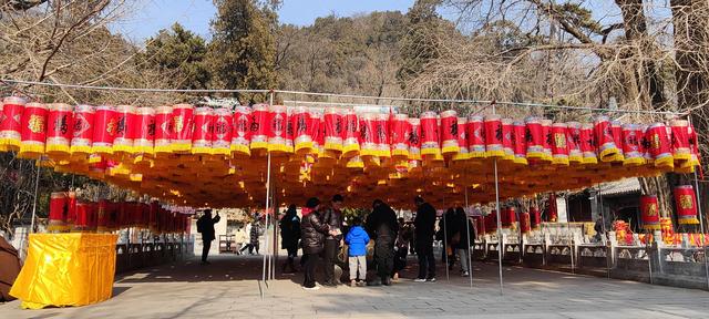 过京西潭柘寺，＃走北京＃