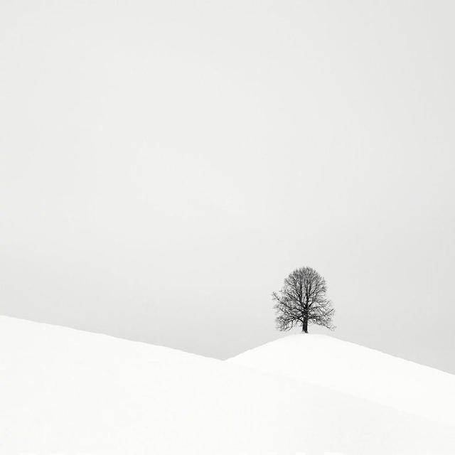 网络名言，网络名言唯美句子（很潮很犀利的人生格言）