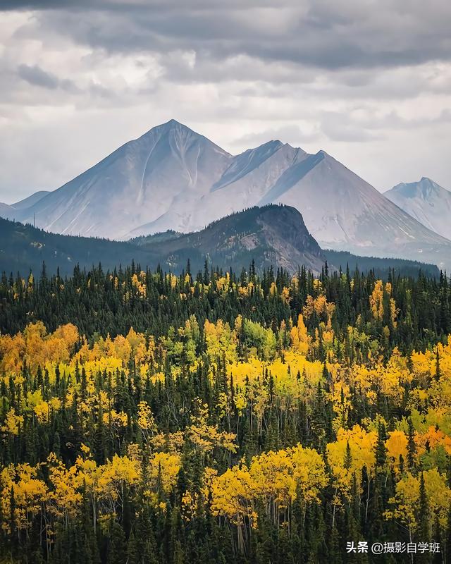 怎么拍照片好看，拍照怎么拍的好看（试试这9个教科书式摄影技巧）