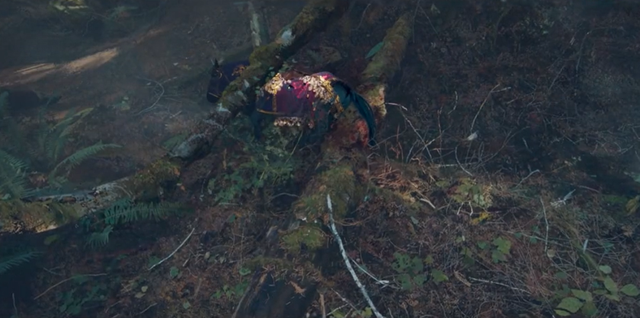 左耳电影剧情介绍，电影左耳剧情介绍（满屏都是“情欲”的撩拨）