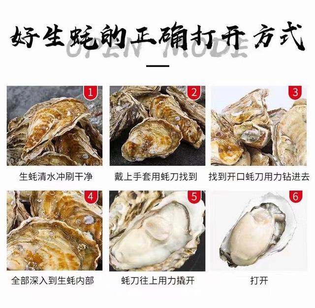 牡蛎怎么开壳，牡蛎怎么开壳清洗内脏（海蛎子<牡蛎、生蚝>怎么开壳）