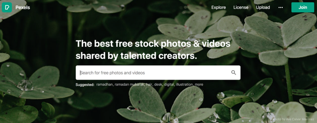 Shopify官方推荐！十大独立站图片素材网站