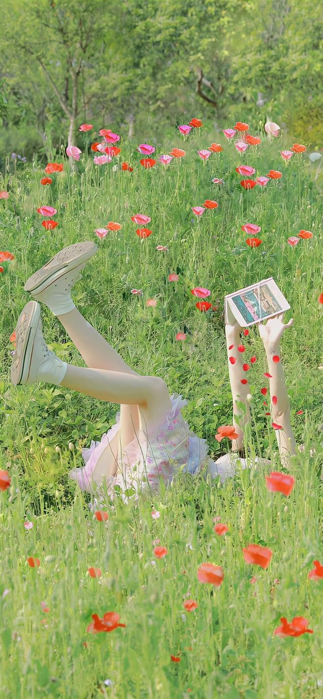 壁纸:我也向往自由,你自由了壁纸(壁纸,热爱生活,向往自由图片)