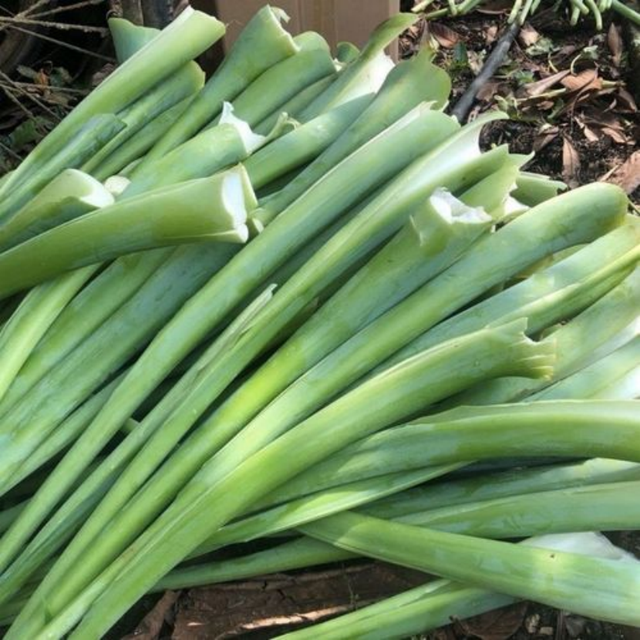 水芋头腌制方法，腌制芋头的方法（一片叶子可以做一盘菜）