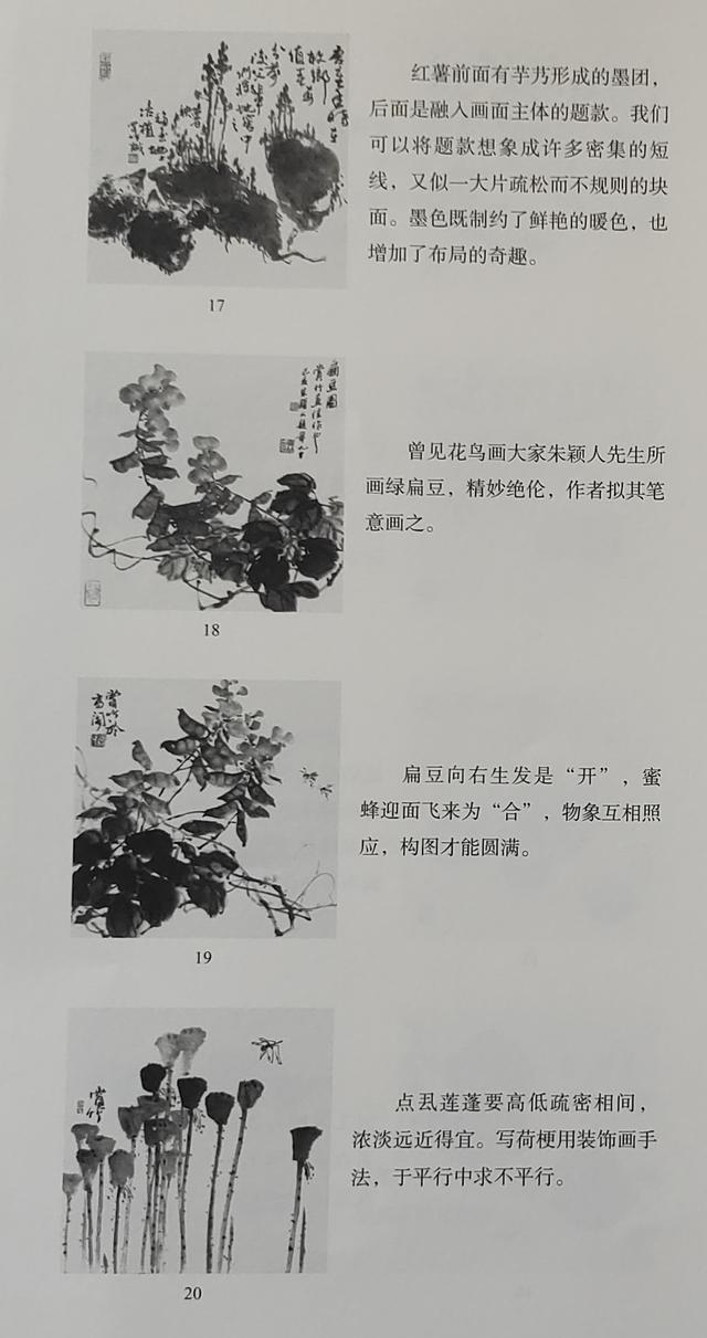 怎样画一些蔬菜和水果，怎么画蔬菜和水果（国画入门：蔬果）