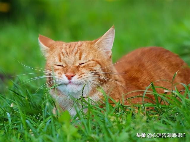 上班恐惧症怎么治，上班恐惧症怎么克服（早上很累想跟领导申请居家办公时的内心恐惧）