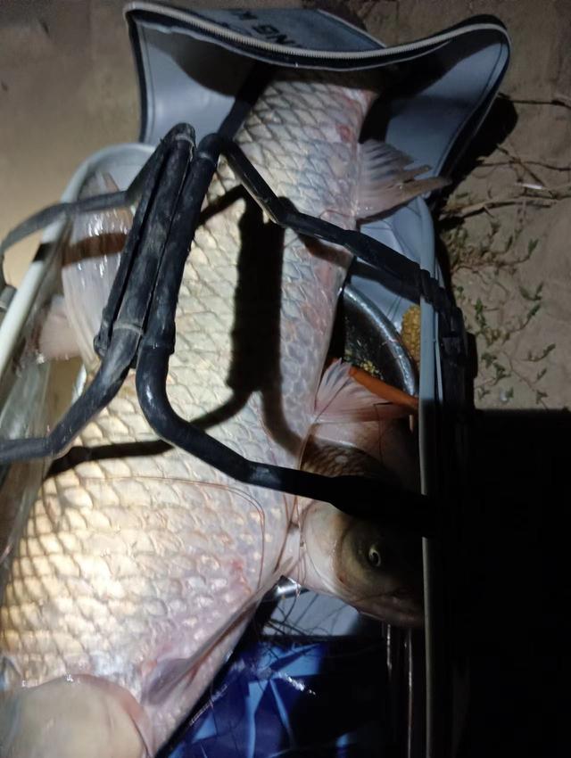 为什么太阳早上大中午小，《两小儿辩日》翻译（浅谈秋季野钓天气的变化）