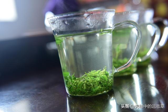 纹股蓝的功效与作用，讲一味小小的绞股蓝