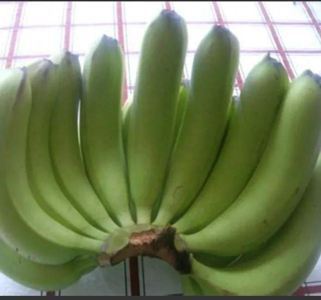 香蕉不成熟要怎样催熟，香蕉不成熟要怎样催熟才能成熟（生香蕉不用推熟剂）