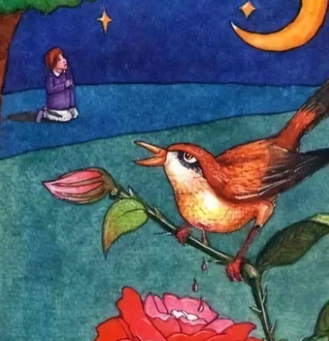 夜莺与玫瑰的寓意，我们一起来读读《夜莺与玫瑰》