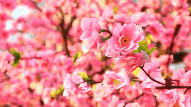 孤独伤感系的文字图片 要明白 孤独才是生活的常态，孤独的图片女生 伤感（品味孤独，孤独也是一种美）