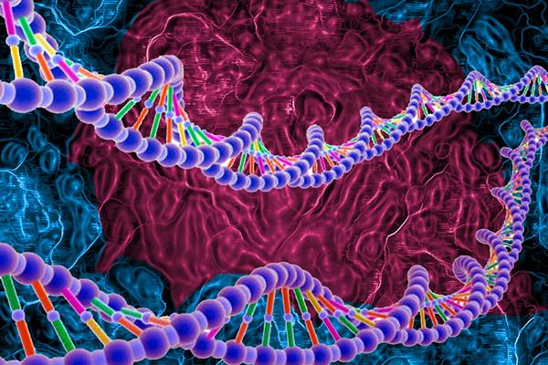 女人的阴道在哪里，女人的阴蒂在阴道的什么位置（和常人有什么不同）