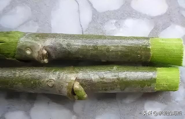 儿时的简易自制玩具，7080年代农村孩子自制49个纯天然玩具