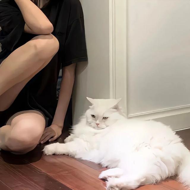 也许放弃才能靠近你，也许放弃 才能靠近你，微信头像（人生才几年不能因为找不到对象而放弃自己）