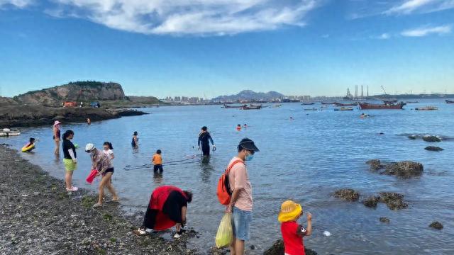 秦皇岛赶海必备攻略：时间、地点