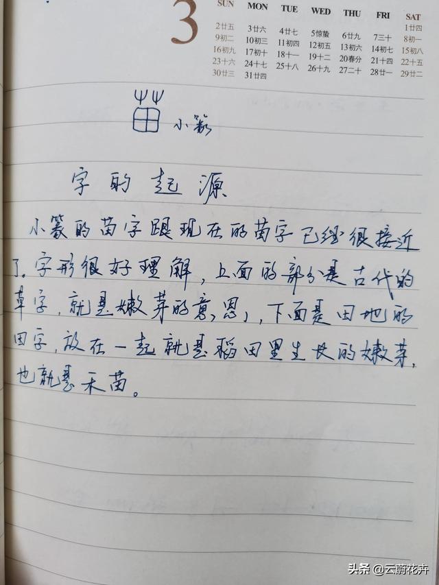 嫩芽的意思指什么，嫩芽的意思（一字一故事——苗）
