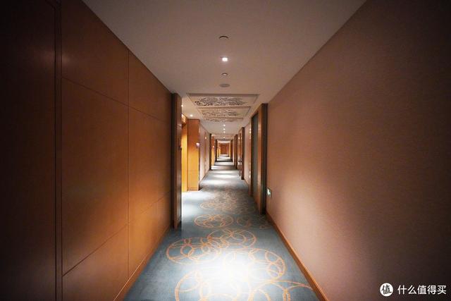 亚特兰蒂斯在哪里，亚特兰蒂斯在哪（“人傻钱多”的三亚亚特兰蒂斯）