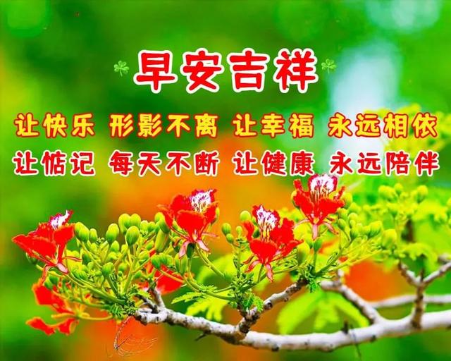一天一句心情早安语，早安正能量简单一句话（祝你天天开心）