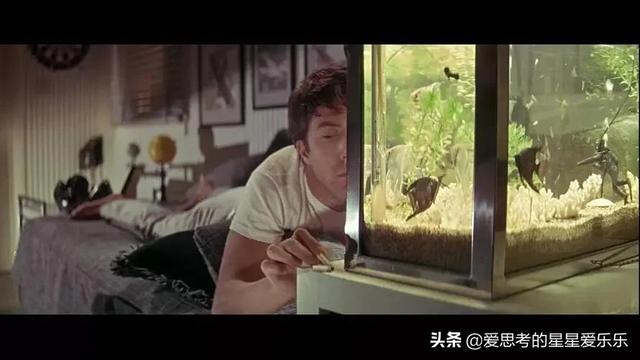 有没有好听的英文歌，有什么好听的英文歌（盘点2021年我一直在听的五首外文歌曲）