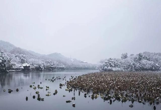 牡丹亭经典名句，牡丹亭最著名的句子（十句古文名句， 句句感人肺腑）