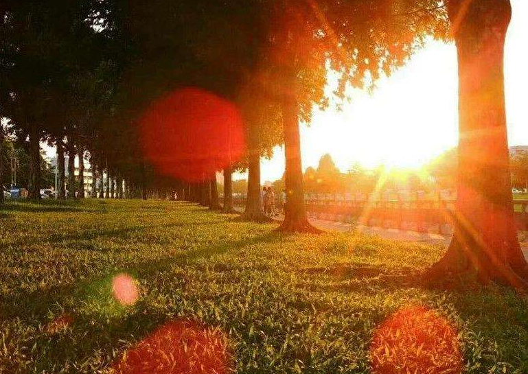 时间飞逝的诗句，描写时间飞逝的古诗