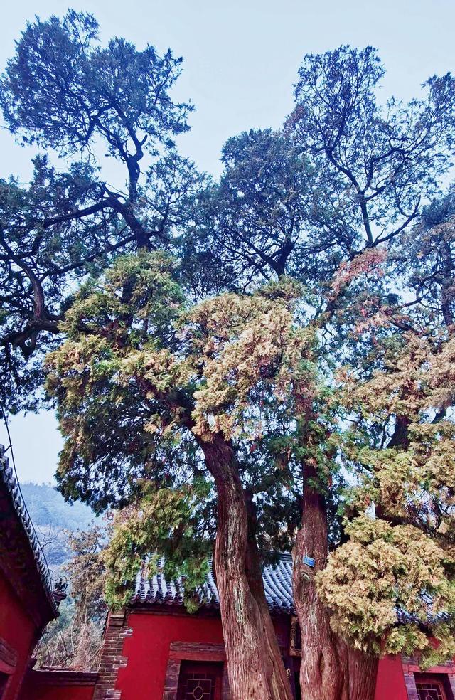 泰山好玩吗，泰山旅游攻略（此生不老，必去泰山）