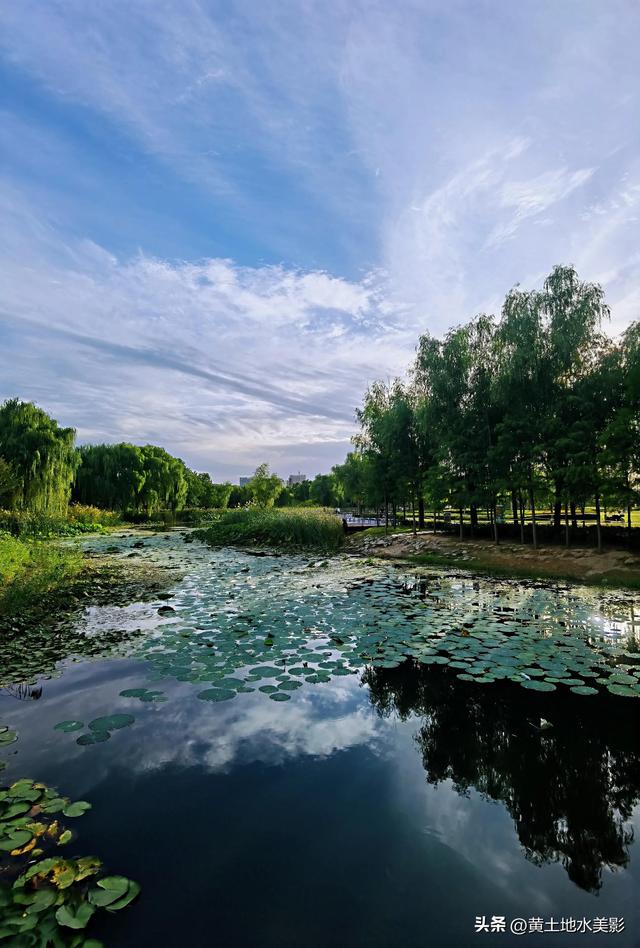 郑州龙湖湿地公园现状分析，河南郑州龙湖湿地公园秋色初露